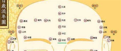 印堂 面相|面相基础知识